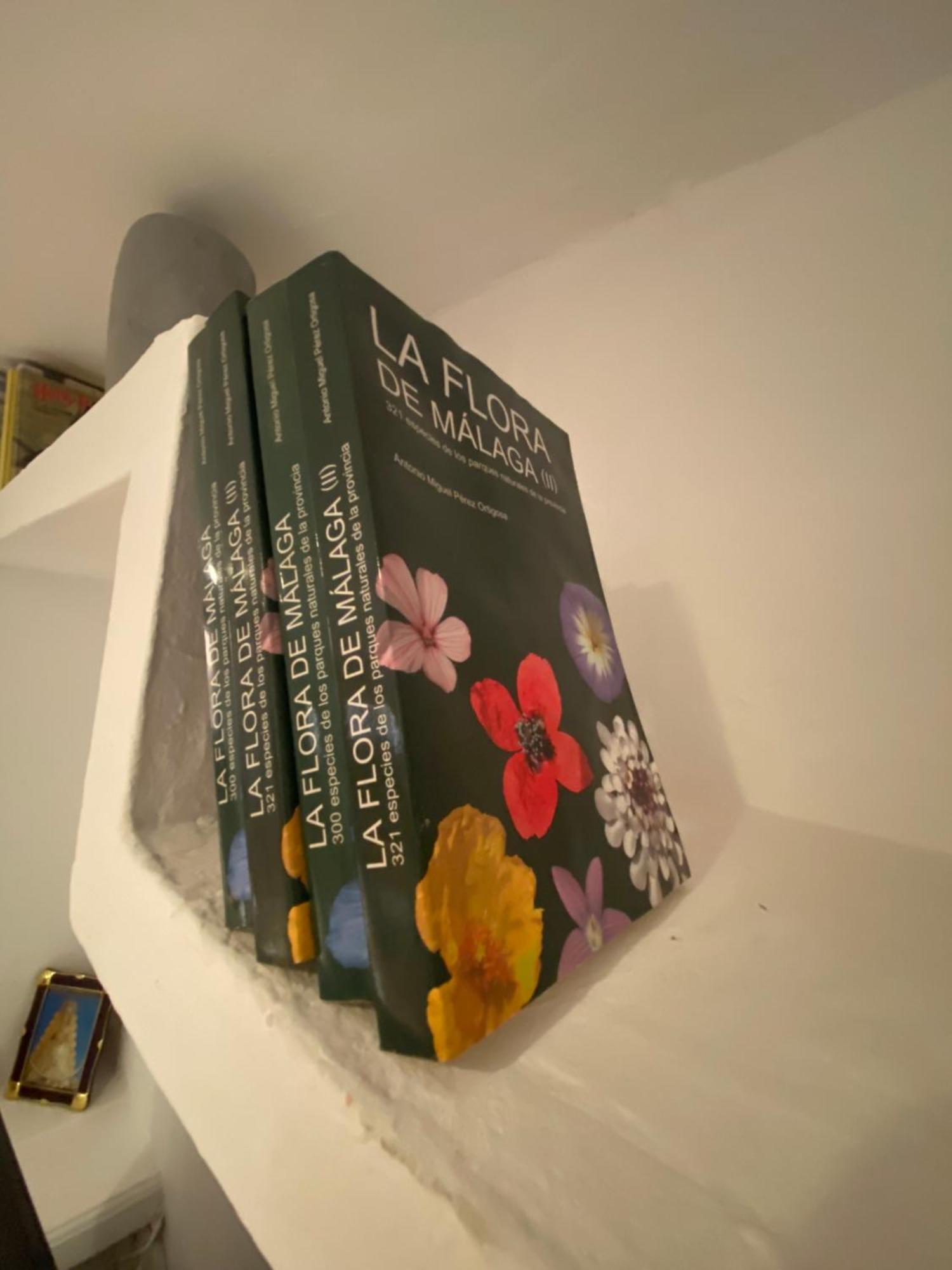 Rosan Appartamento Málaga
